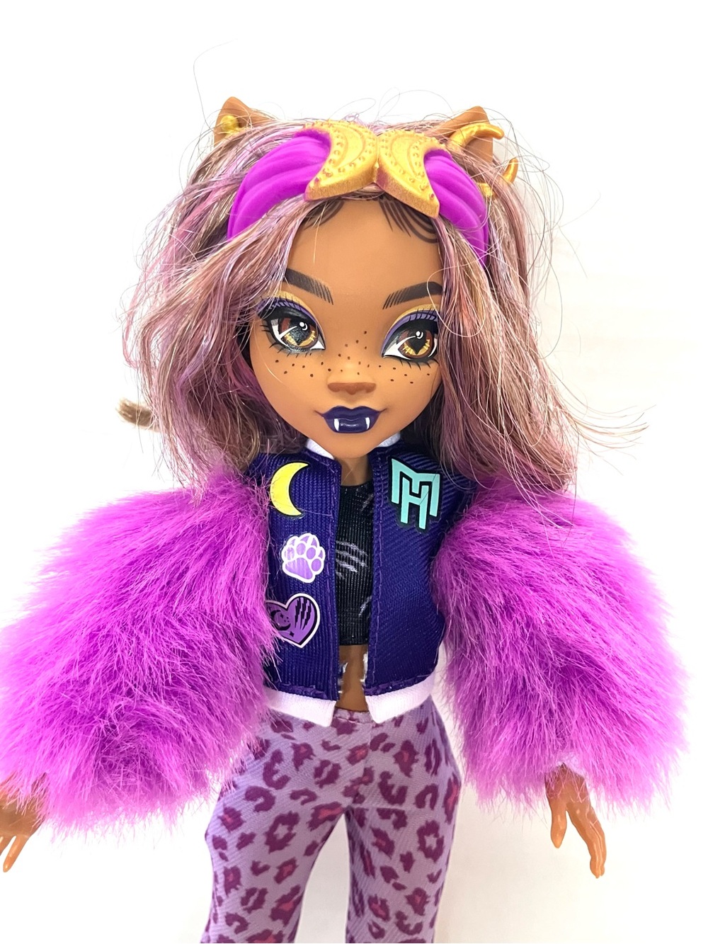 Monster High Clawdeen Wolf Fashion Doll & Some Extras
